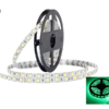 LED Band grün für den LKW - 5 Meter lang mit Silikonschicht - geeignet für 24 Volt - EAN: 6090436317388