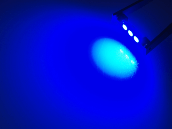 Festoon LED buislamp 36mm voor 24 volt gebruik - kleur blauw - EAN: 6090542313366