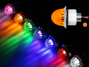 Group Nedking melonlights