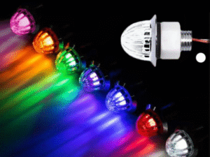 Group Nedking melonlights