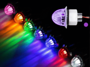 Group Nedking melonlights