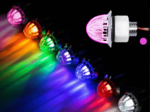 Group Nedking melonlights