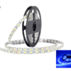 LED Band 24 volt blau 3528 IP33 5 Meter