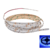 LED Band 24 volt blau 3528 IP33 2,5 Meter