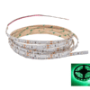LED Band 24 volt grün 3528 IP33 2,5 Meter